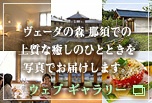 �E�F�u �M�������[�@���F�[�_�̐X �ߐ{�ł̏㎿�Ȗ����̂ЂƂƂ����ʐ^�ł��͂����܂��B